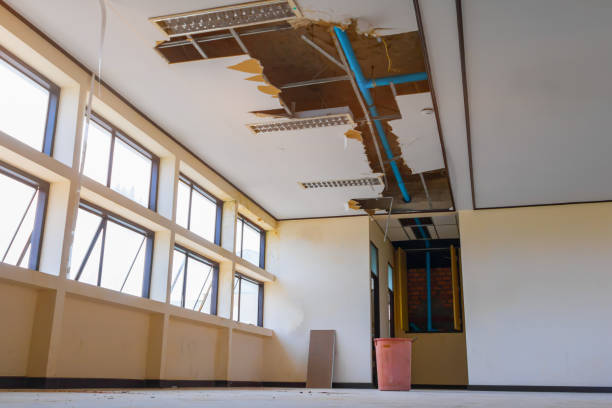 Best Water damage restoration company  in Montclair, CA