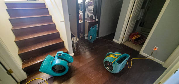 Best Water damage contractors near me  in Montclair, CA