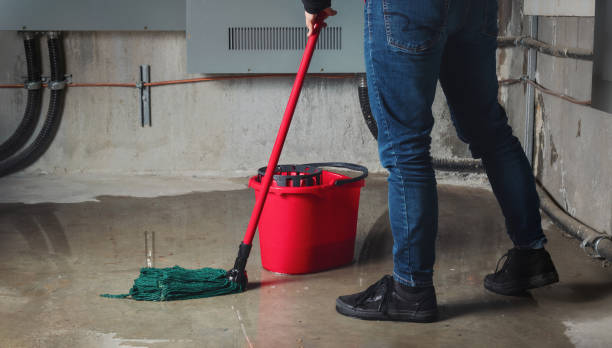 Best Fire Damage Restoration  in Montclair, CA