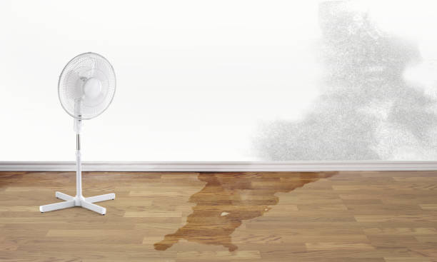 Best Water damage restoration near me  in Montclair, CA