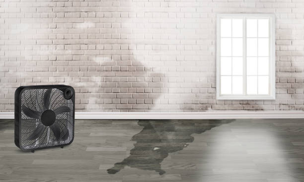 Professional Water damage restoration in Montclair, CA