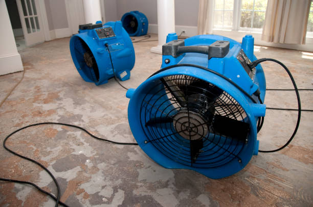 Best Basement water damage restoration  in Montclair, CA