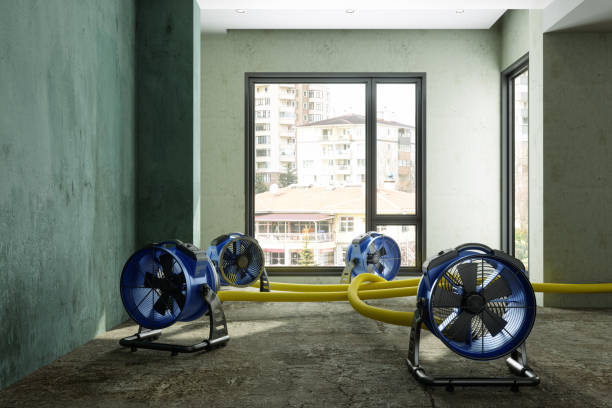 Best 24-hour water damage restoration  in Montclair, CA